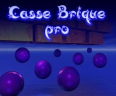 Casse Brique pro